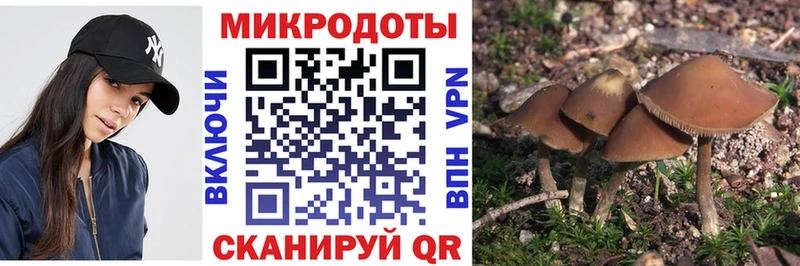 Галлюциногенные грибы Psilocybe  Купить закладки  Тула 